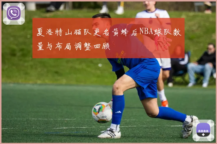 夏洛特山猫队更名黄蜂后NBA球队数量与布局调整回顾