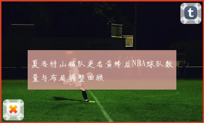 夏洛特山猫队更名黄蜂后NBA球队数量与布局调整回顾
