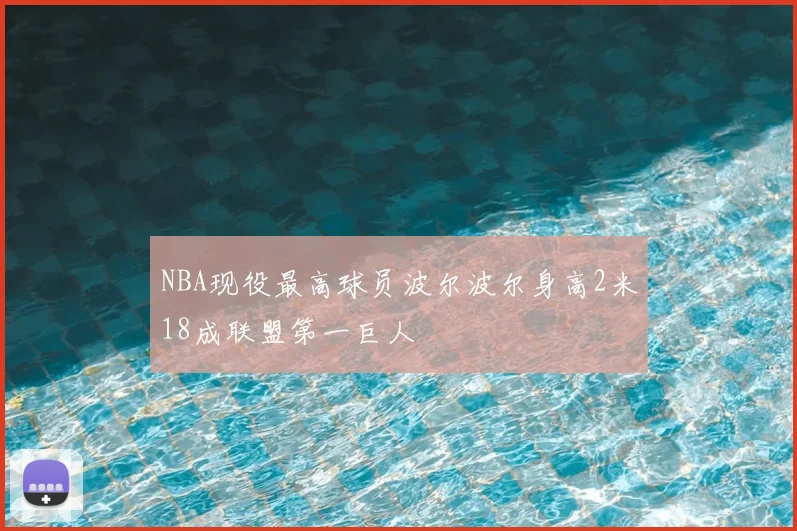 NBA现役最高球员波尔波尔身高2米18成联盟第一巨人